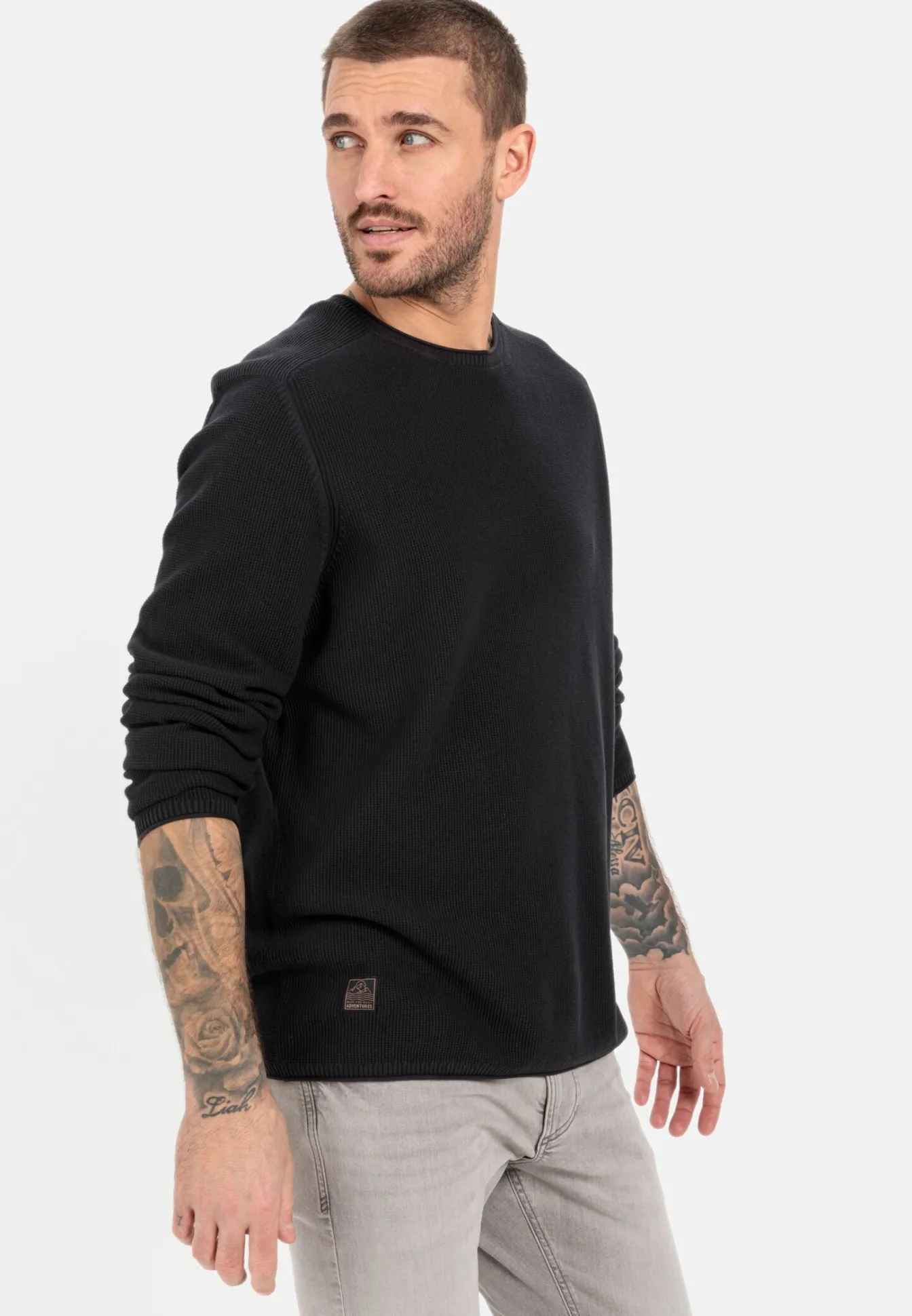 Herren Camel Active Pullover & Cardigan^Feinstrickpullover aus organic Cotton