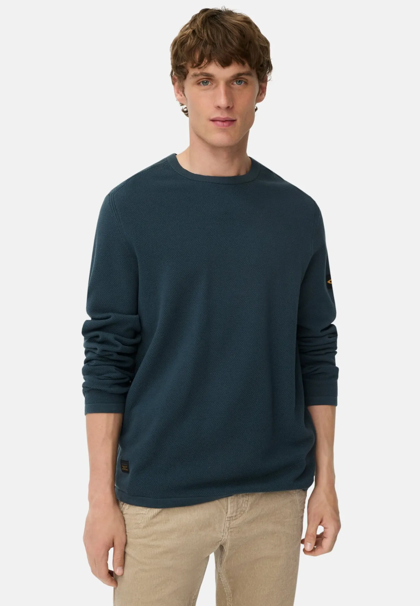 Herren Camel Active Pullover & Cardigan^Pullover aus reiner Baumwolle