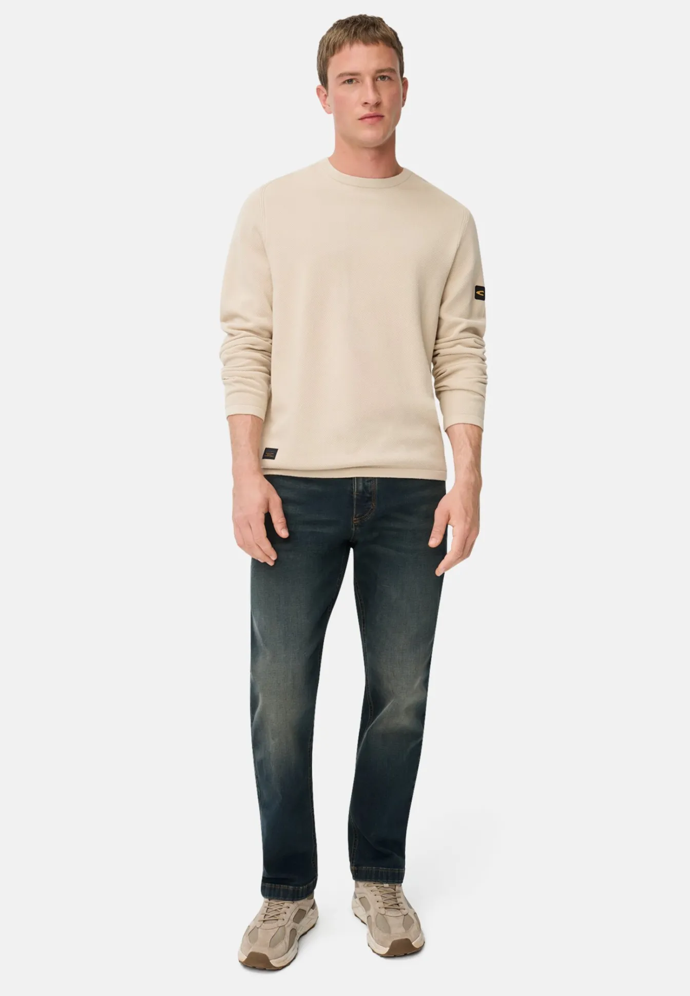 Herren Camel Active Pullover & Cardigan^Pullover aus reiner Baumwolle