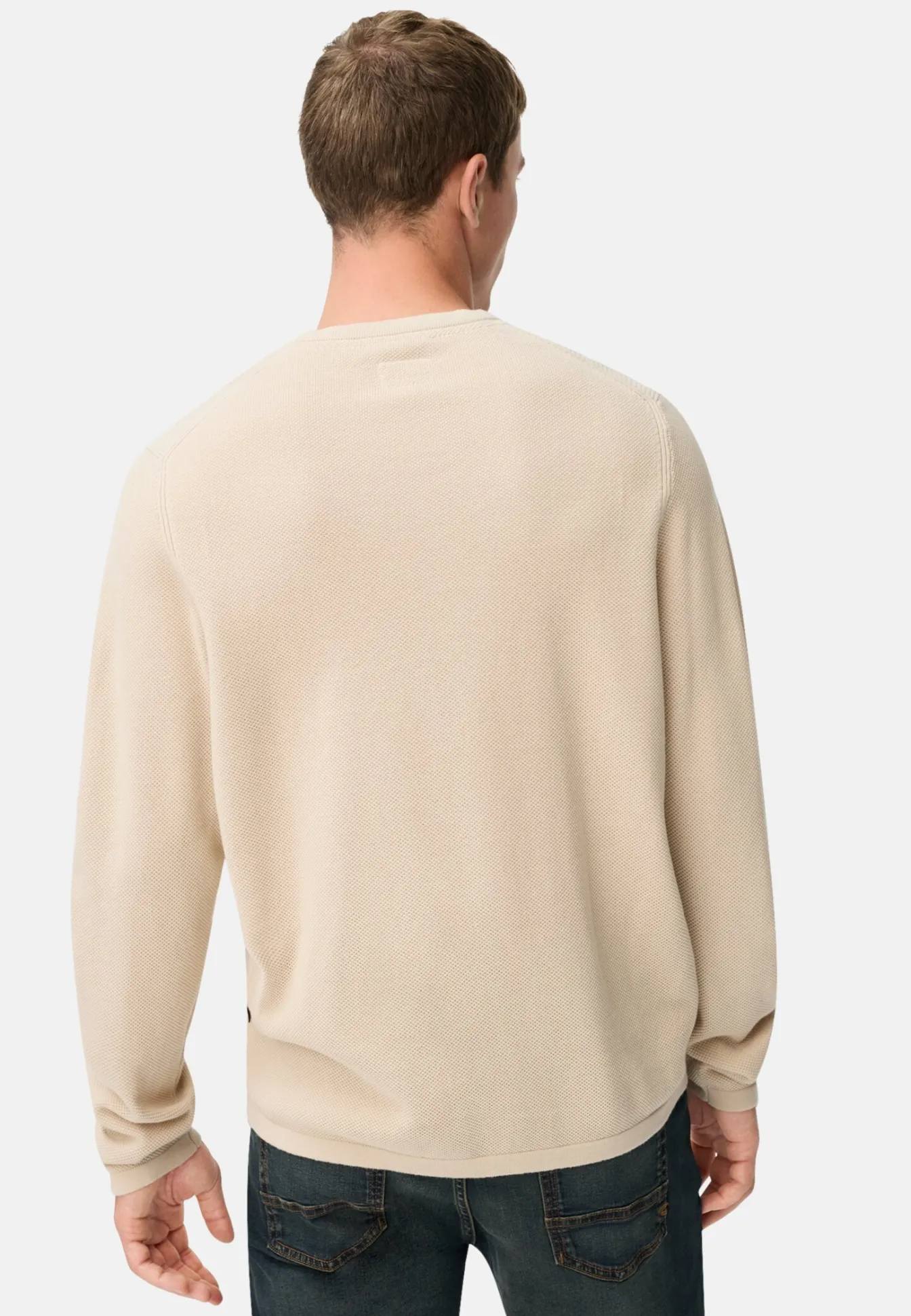 Herren Camel Active Pullover & Cardigan^Pullover aus reiner Baumwolle