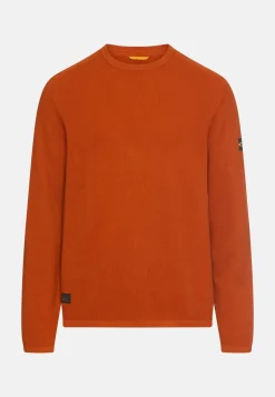 Herren Camel Active Pullover & Cardigan^Pullover aus reiner Baumwolle