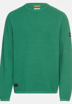 Herren Camel Active Pullover & Cardigan^Pullover aus reiner Baumwolle