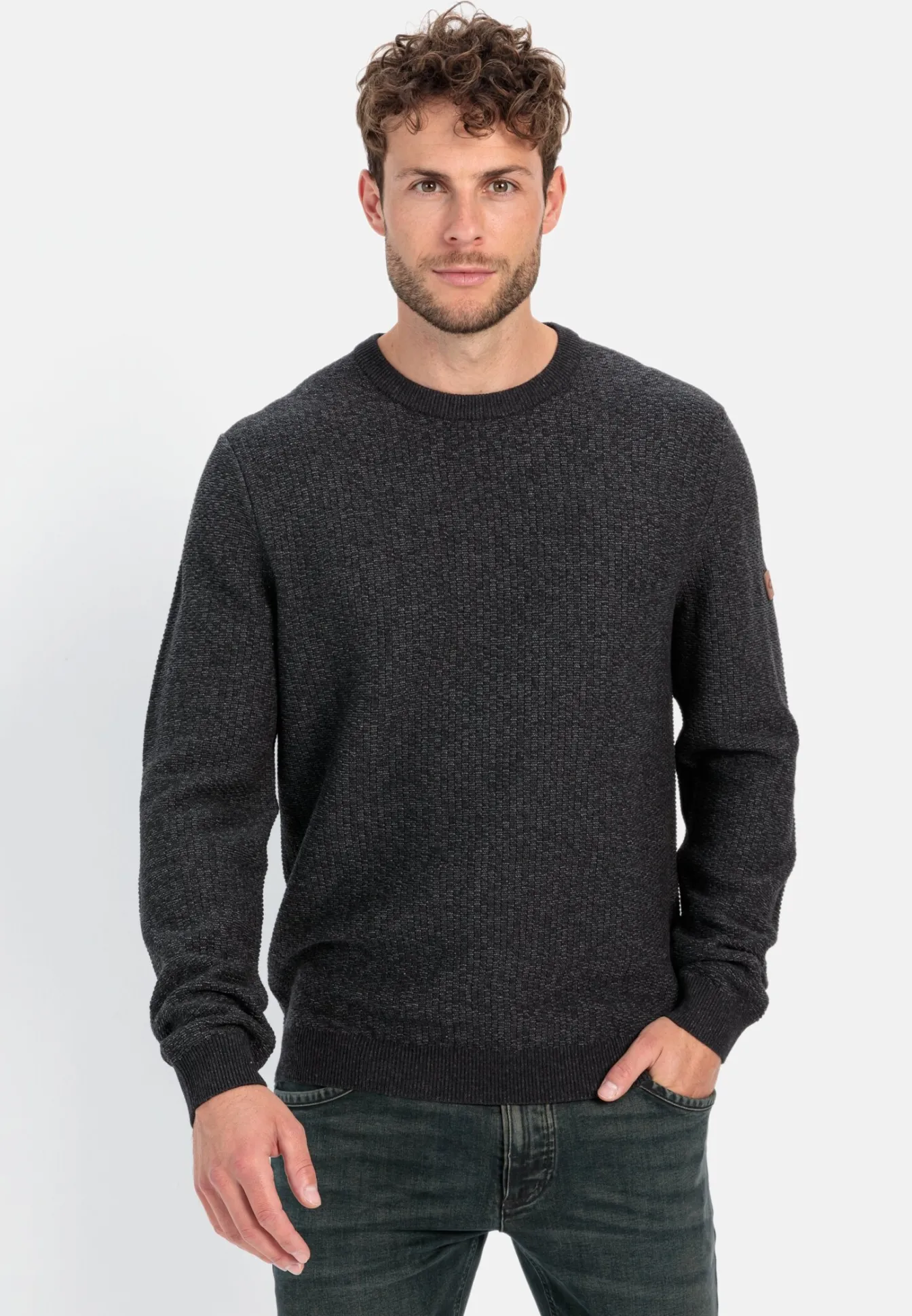 Herren Camel Active Pullover & Cardigan^Strickpullover aus einem Baumwollmix