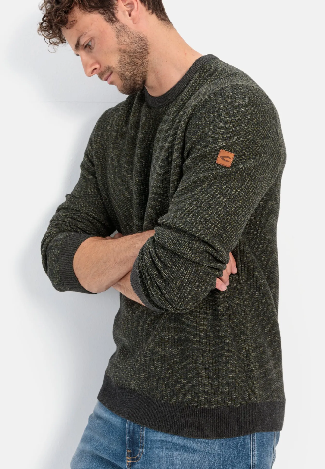 Herren Camel Active Pullover & Cardigan^Strickpullover aus einem Baumwollmix