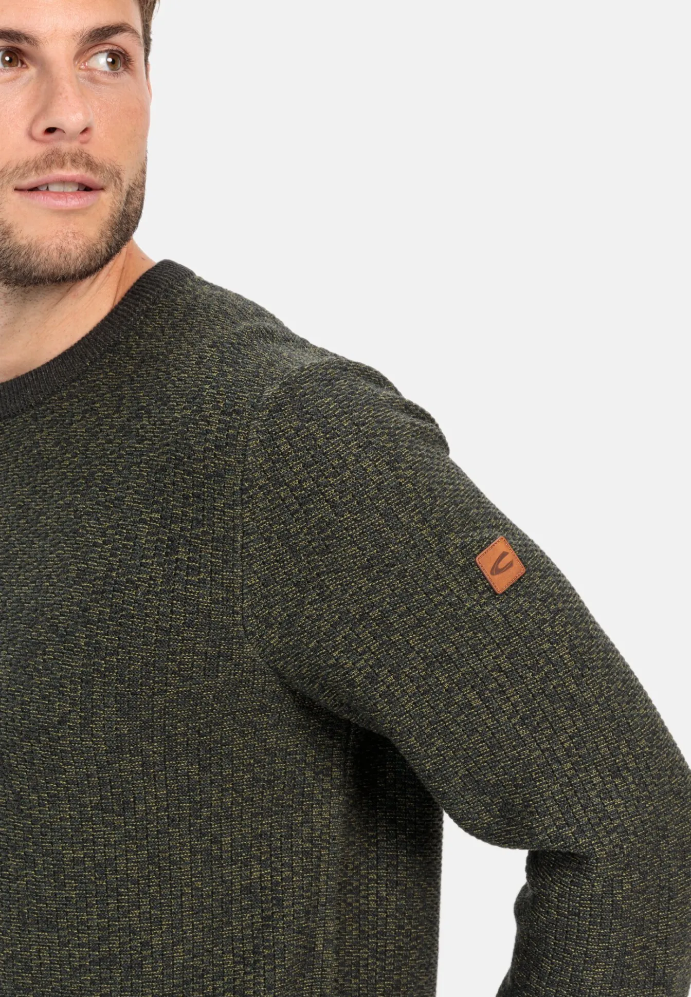 Herren Camel Active Pullover & Cardigan^Strickpullover aus einem Baumwollmix